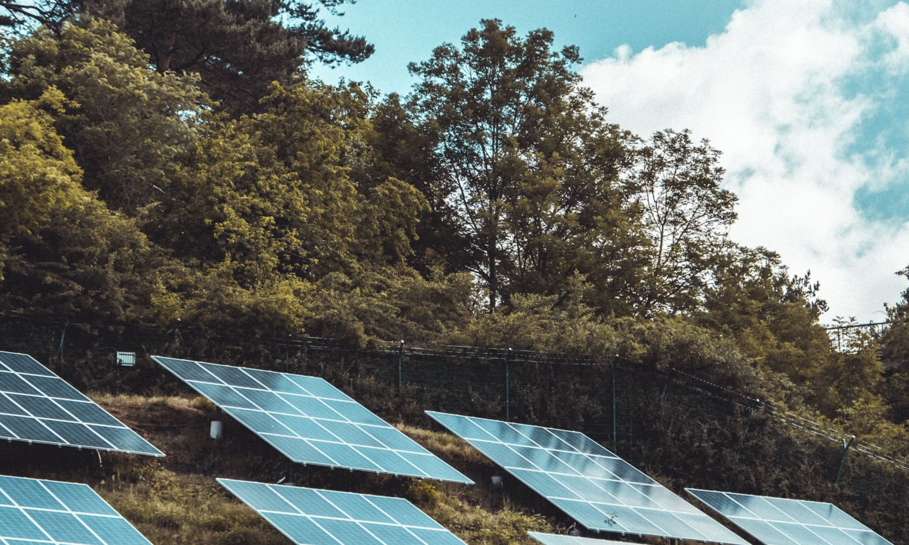 How to Choose the Right Solar Panels for Your Home